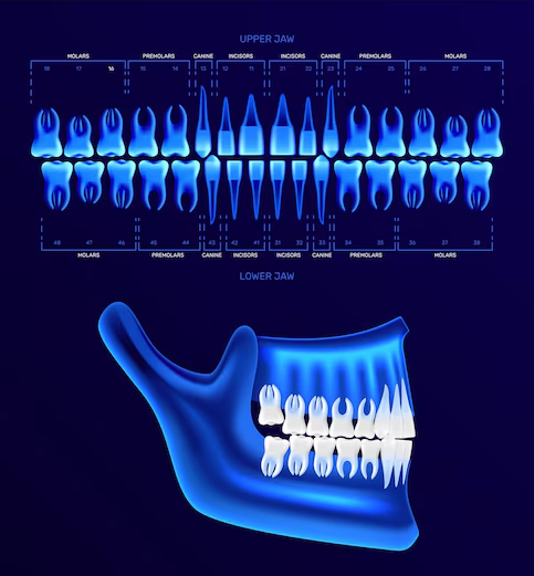 Digital dentistry