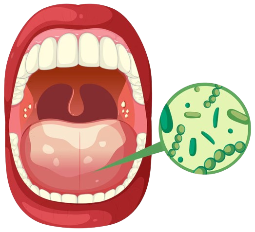 Oral cancer screening care